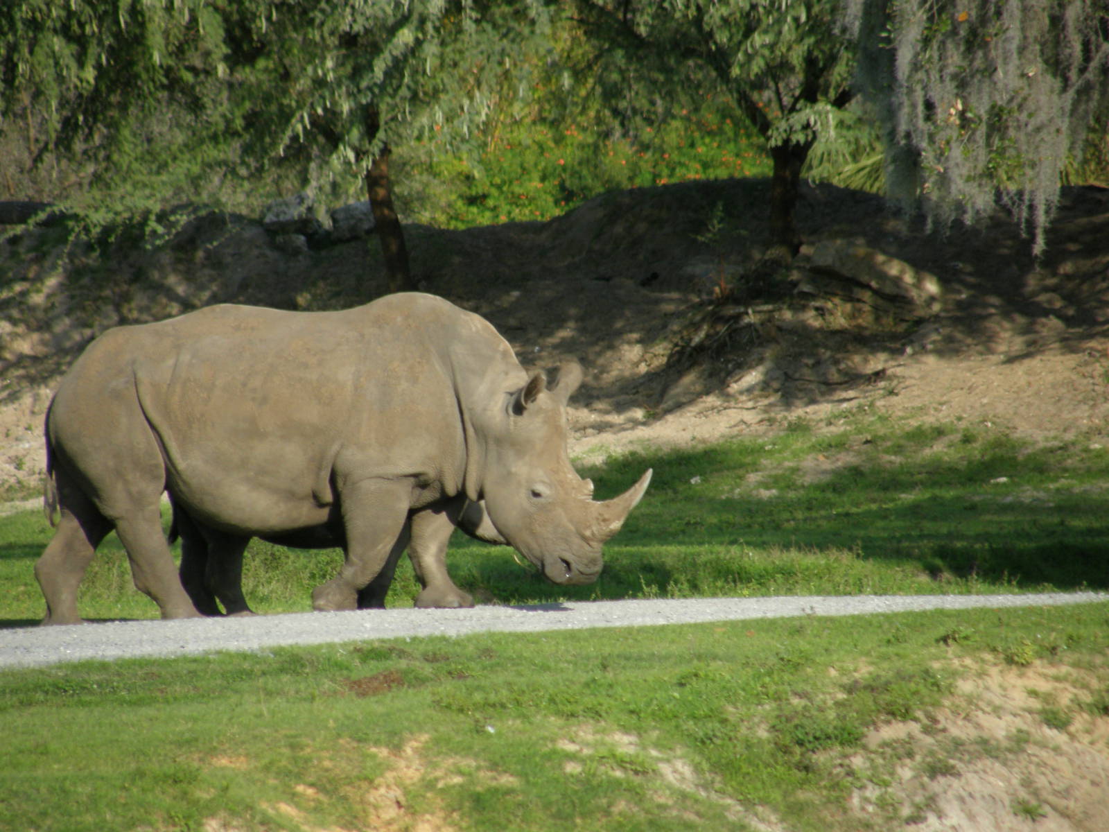 wpalm beach dec08 464