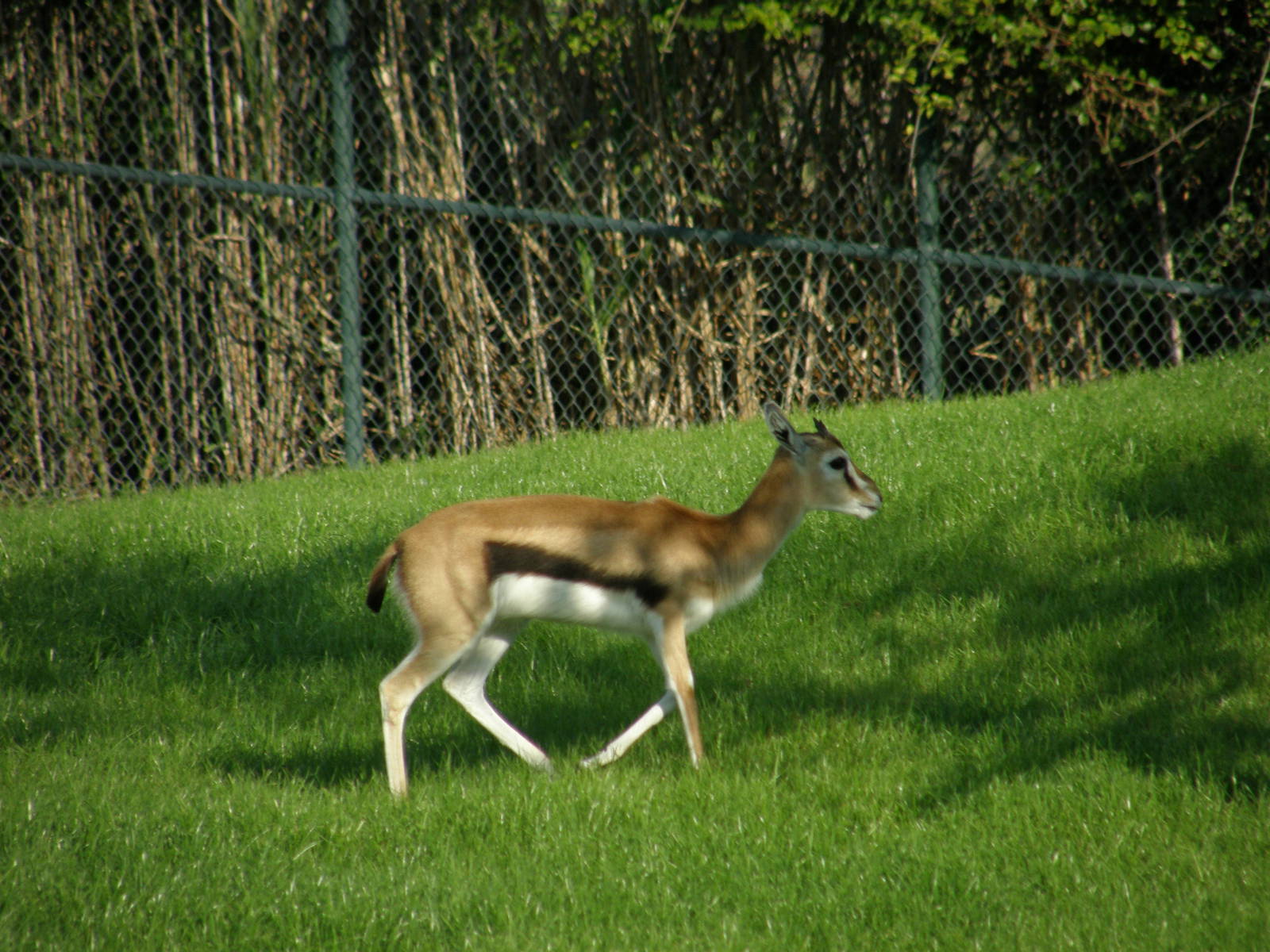 wpalm beach dec08 474