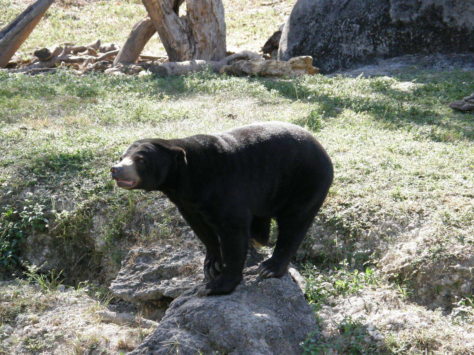 wpalm beach dec08 498