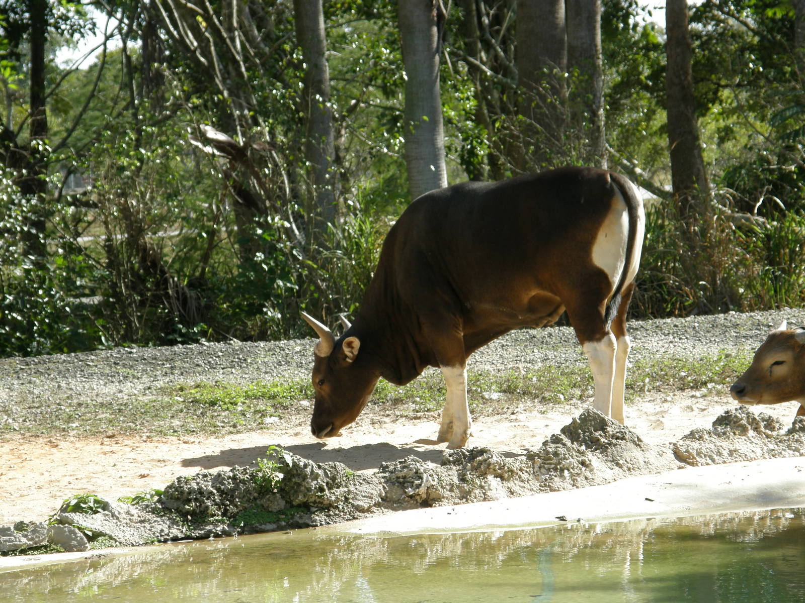 wpalm beach dec08 512