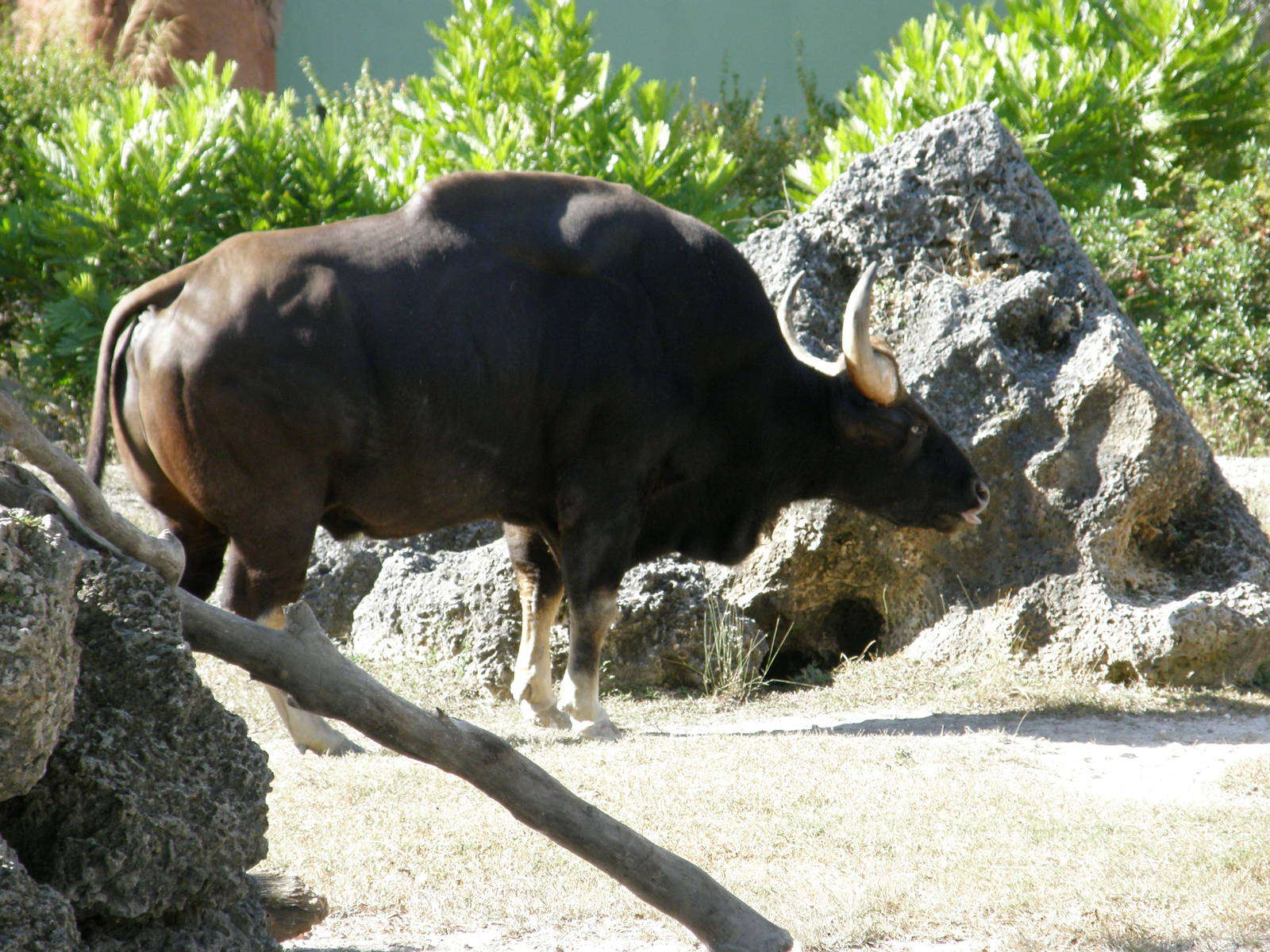 wpalm beach dec08 546