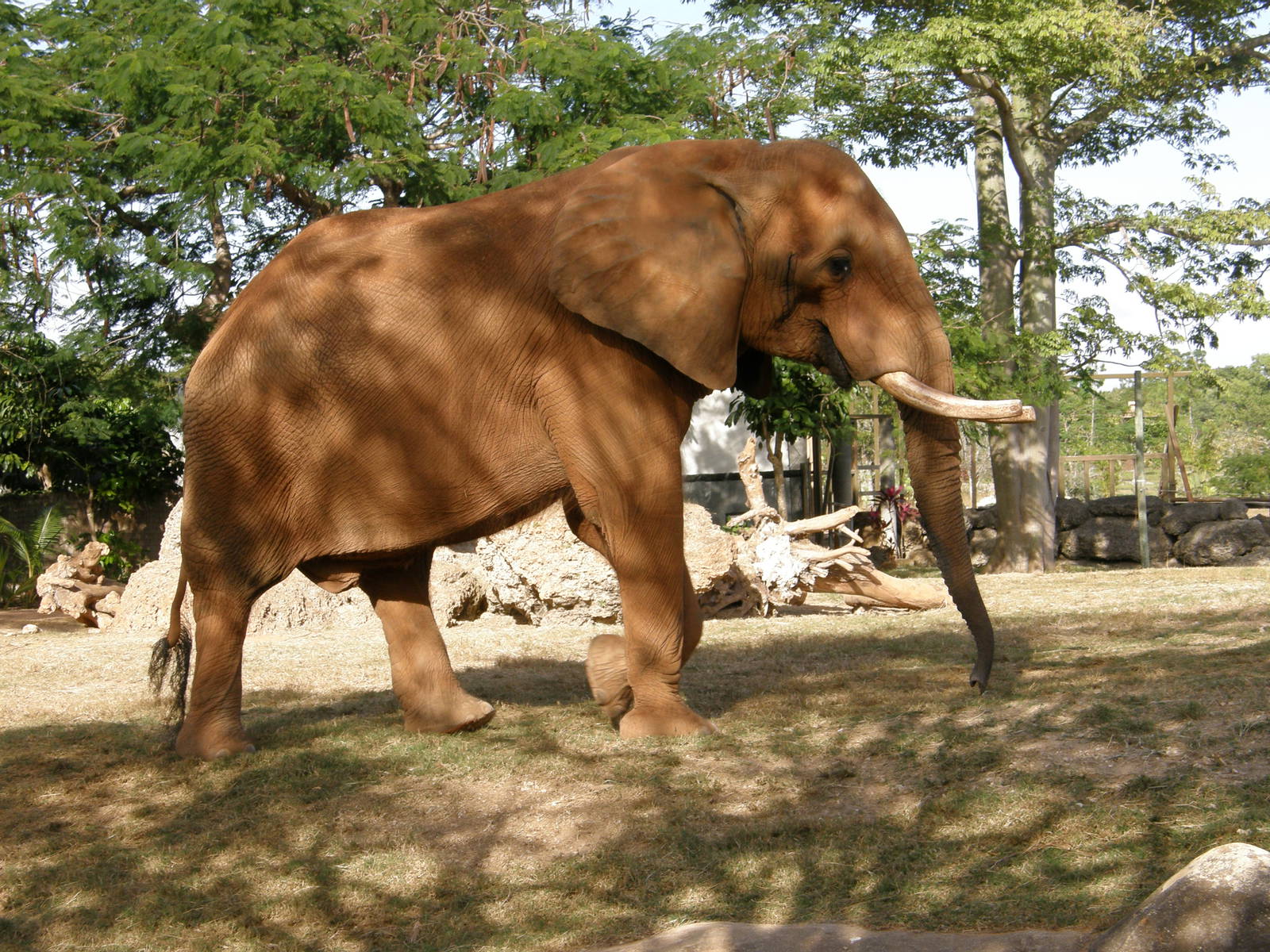 wpalm beach dec08 607