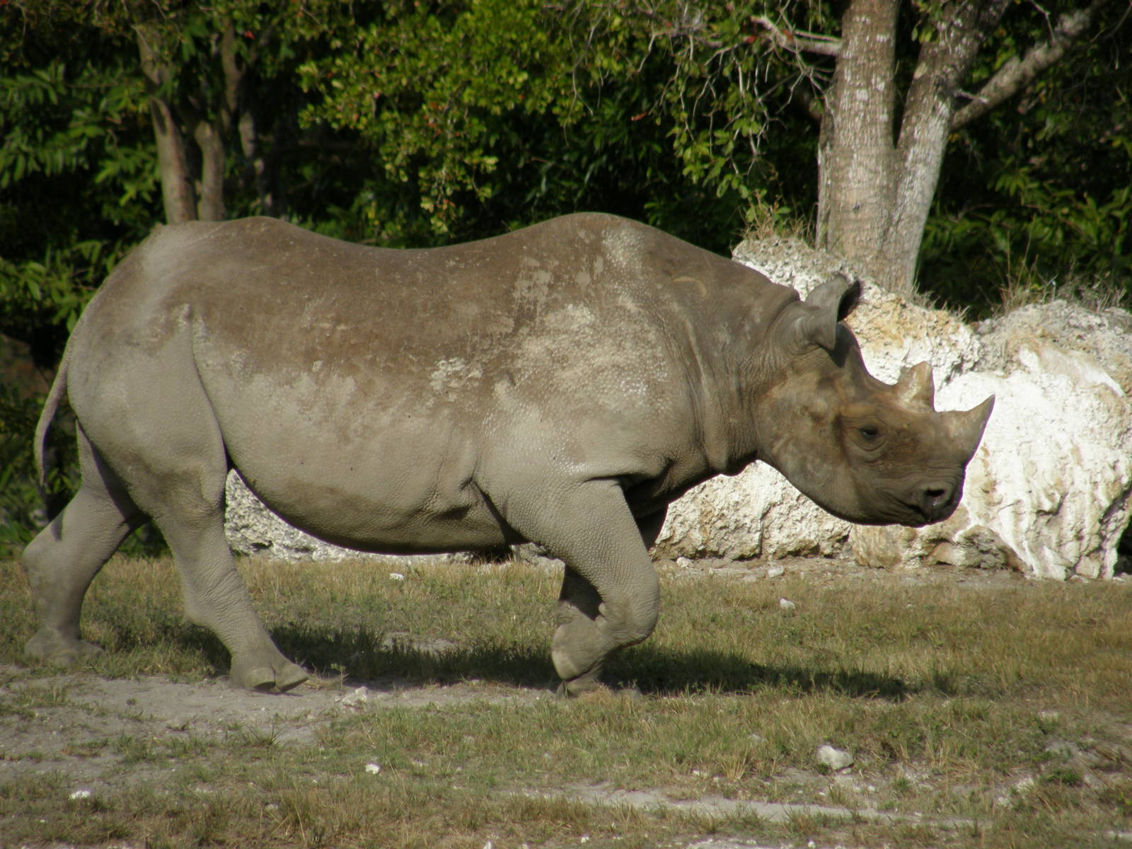 wpalm beach dec08 624