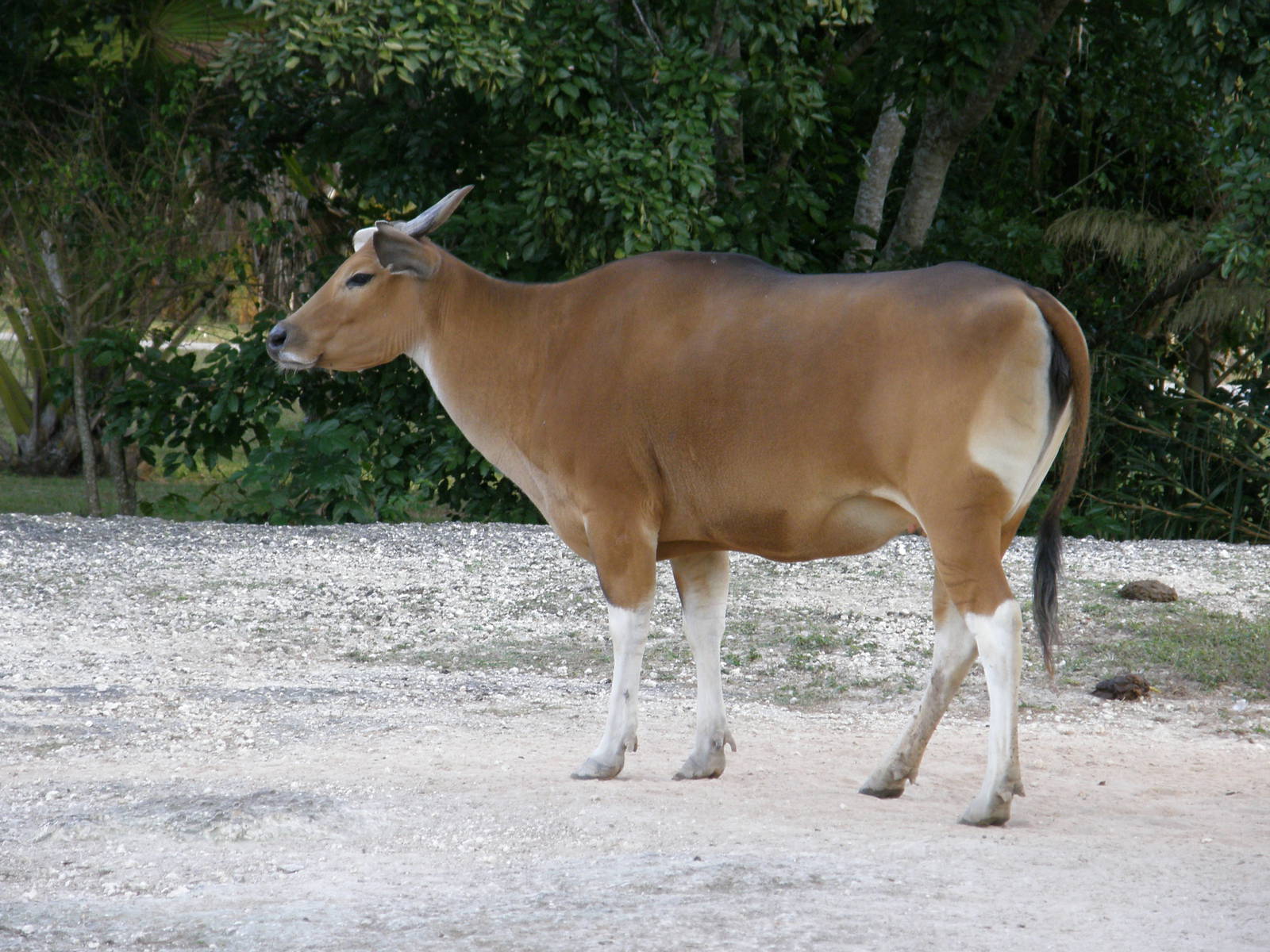 wpalm beach dec08 680