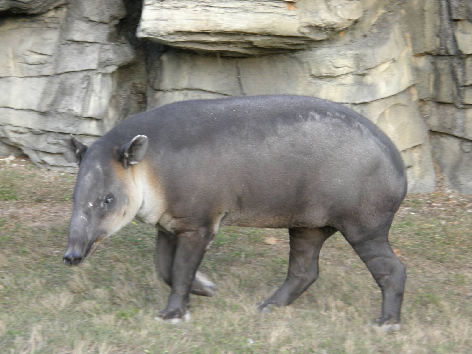 wpalm beach dec08 709