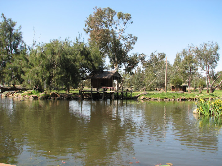 WPZ 2007 - Black-handed Spider Monkey island, Savannah Lake