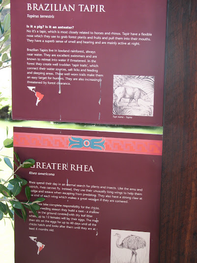 WPZ 2007 - Brazilian Tapir and Greater Rhea signage, South American paddock