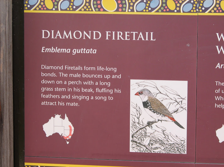 WPZ 2007 - Diamond Firetail signage, Mallee Aviary, Children's Zoo