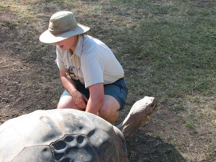 WPZ 2007 - Galapagos Giant Tortoise with keeper