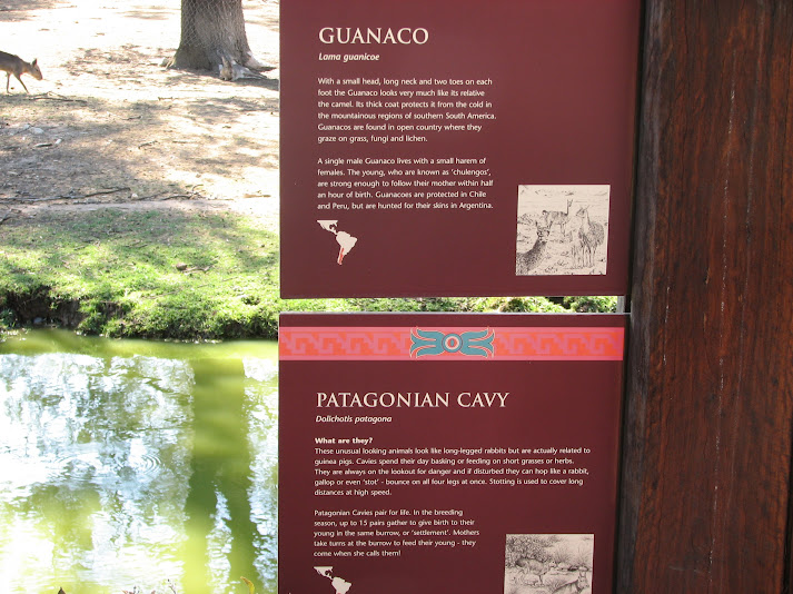 WPZ 2007 - Guanaco and Patagonian Mara signage, South American paddock