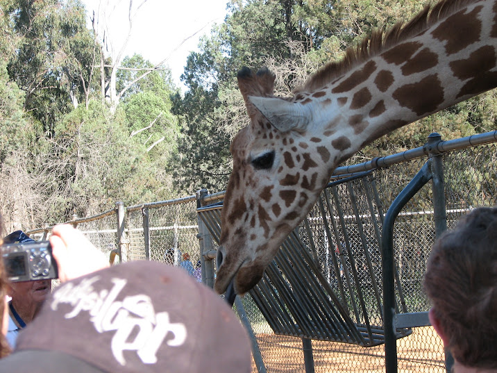 WPZ 2007 - Hybrid Giraffe (off-display housing)