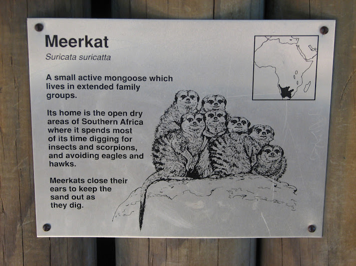 WPZ 2007 - Slender-tailed Meerkat signage, Children's Zoo