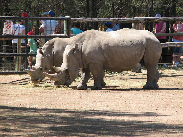 WPZ 2007 - Southern White Rhinoceroses