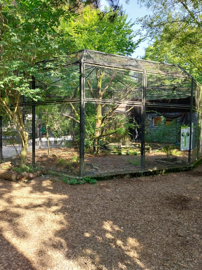 Wreathed hornbill aviary