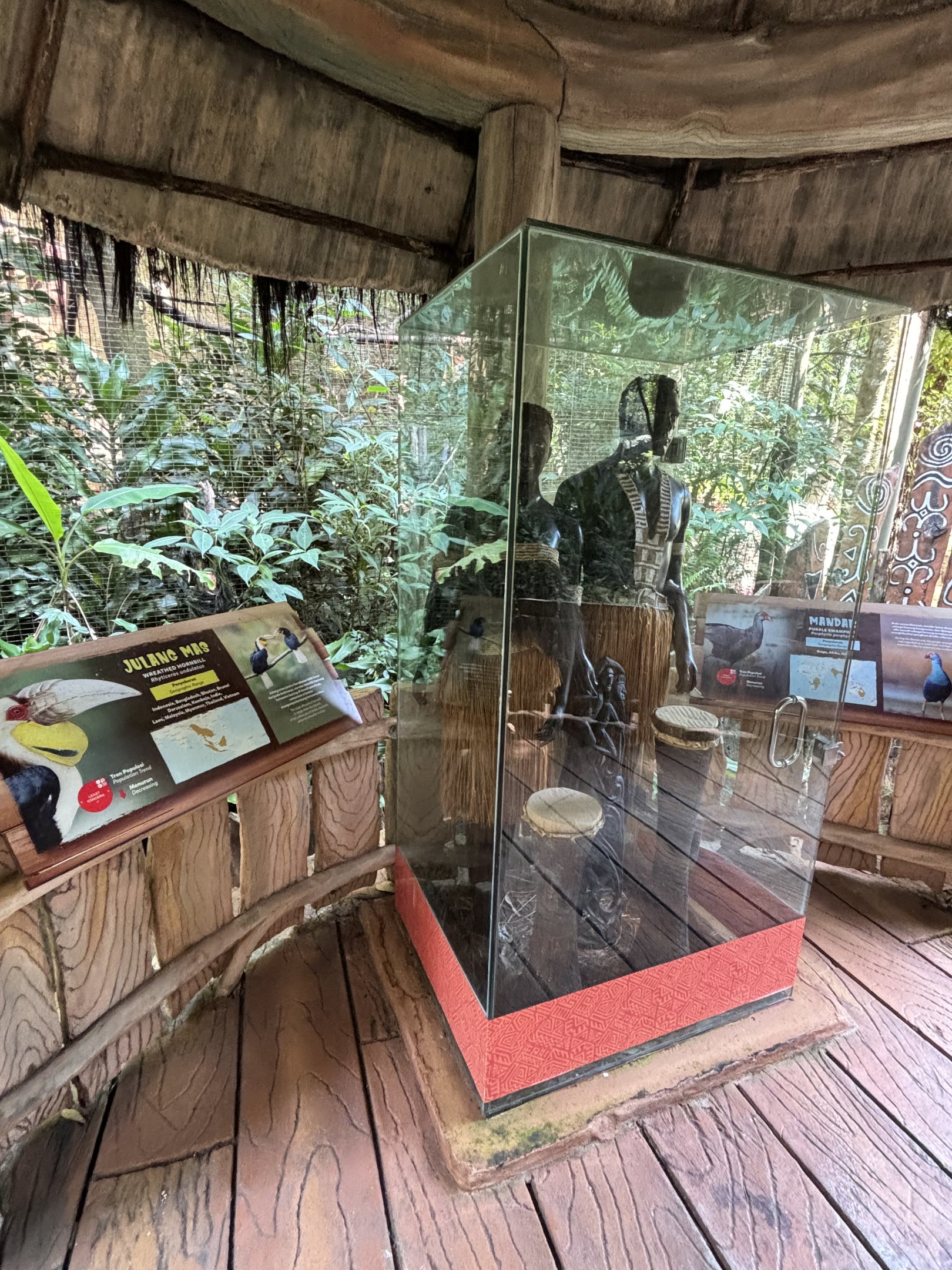 Wreathed Hornbill Aviary