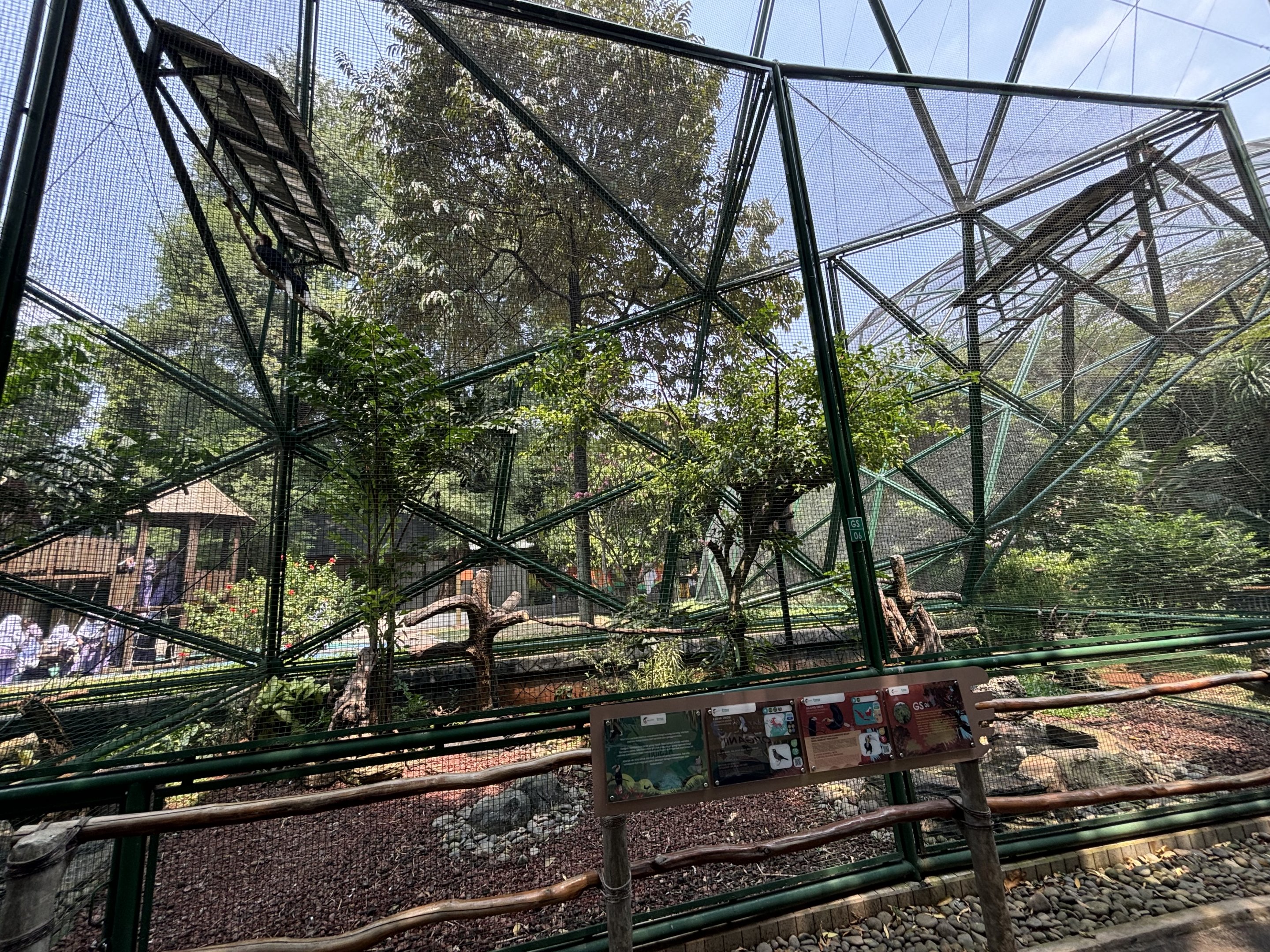 Wreathed Hornbill Aviary