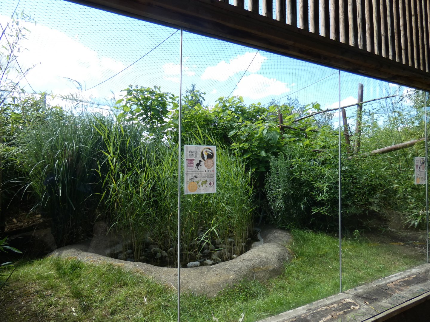 Wreathed Hornbill enclosure