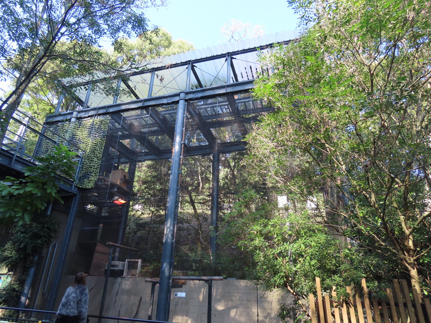 Wreathed hornbill exhibit