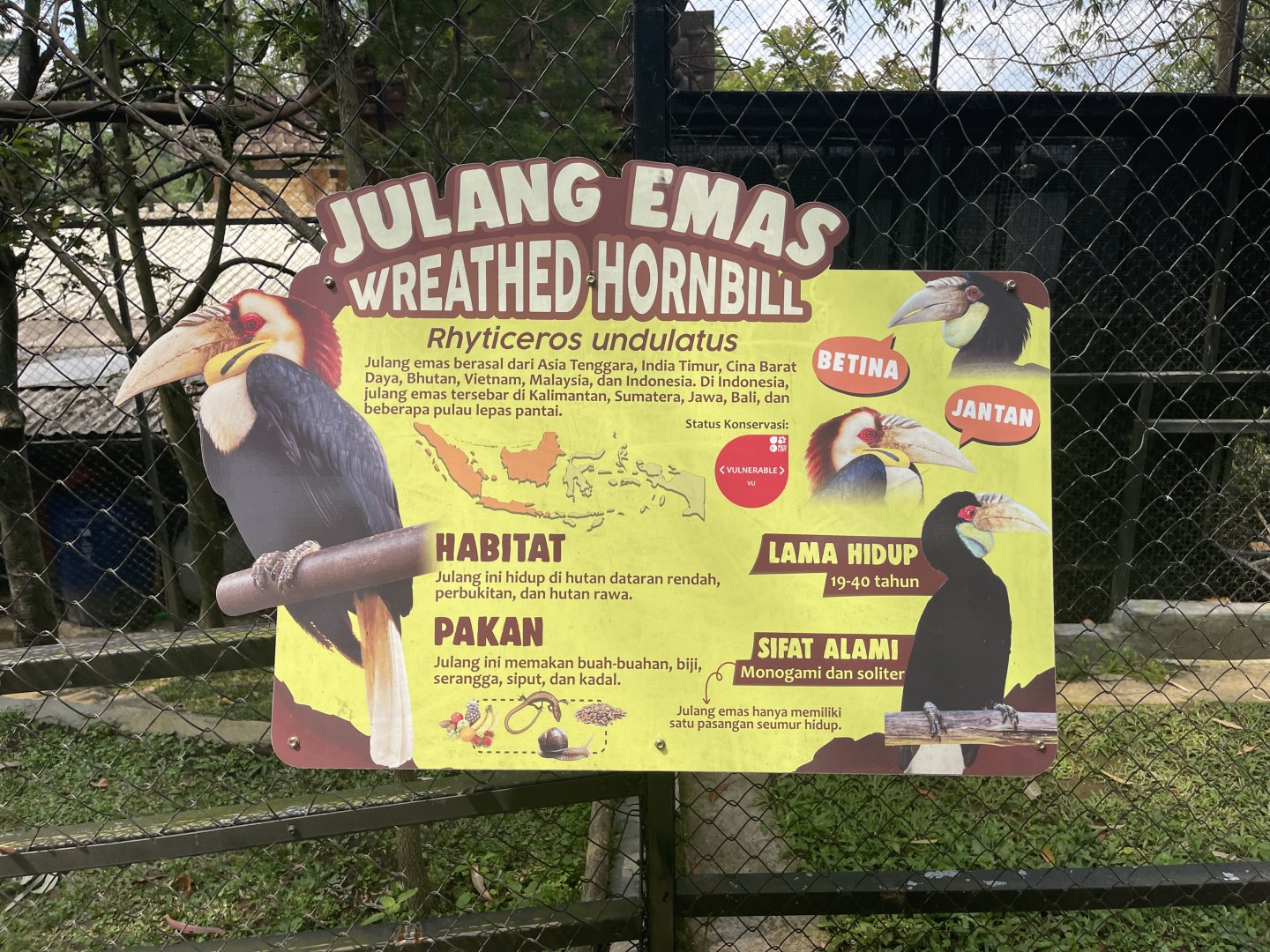 wreathed hornbill signage