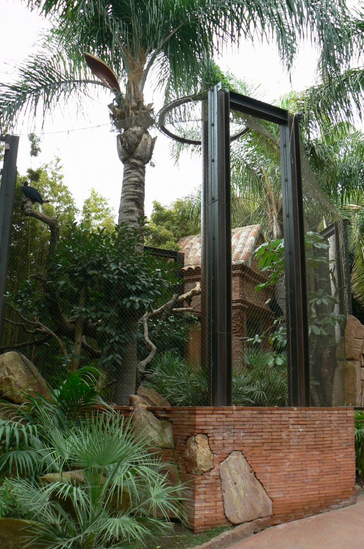 Wreathed hornbills aviary