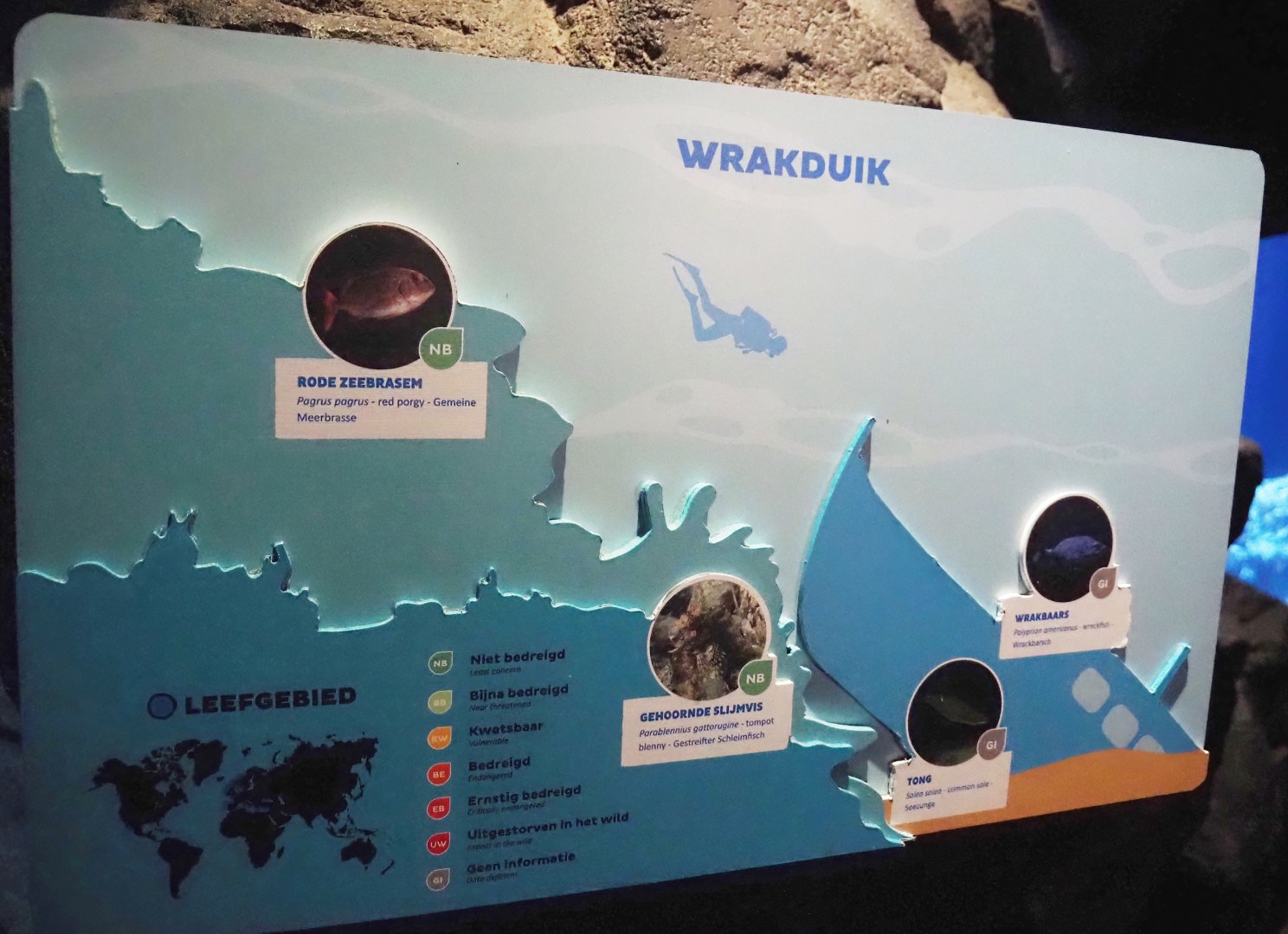 Wreck dive tank signage, 2024-06-30