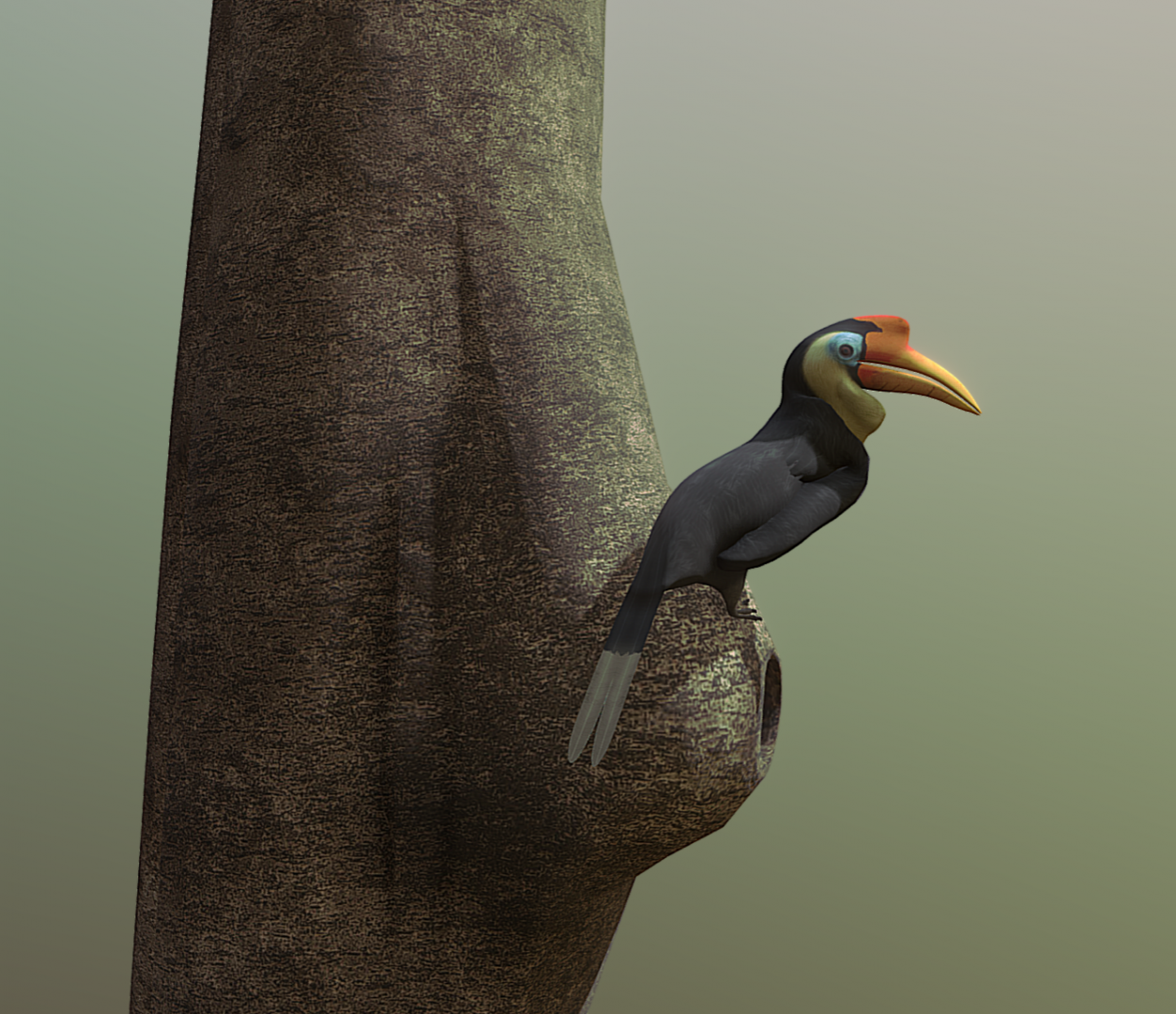 Wrinkled Hornbill - 2024