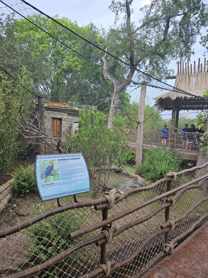 Wrinkled hornbill aviary