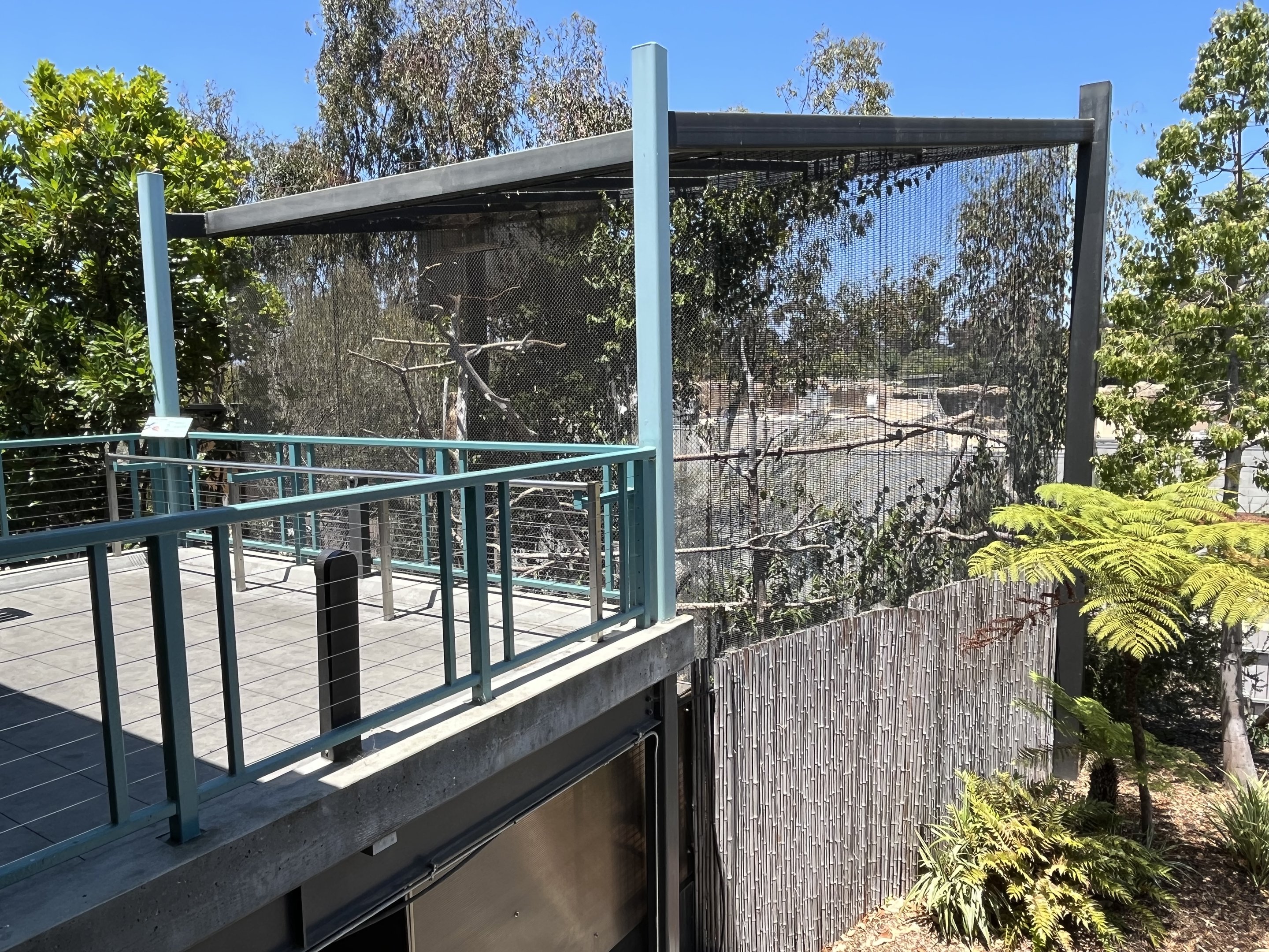 Wrinkled Hornbill Aviary