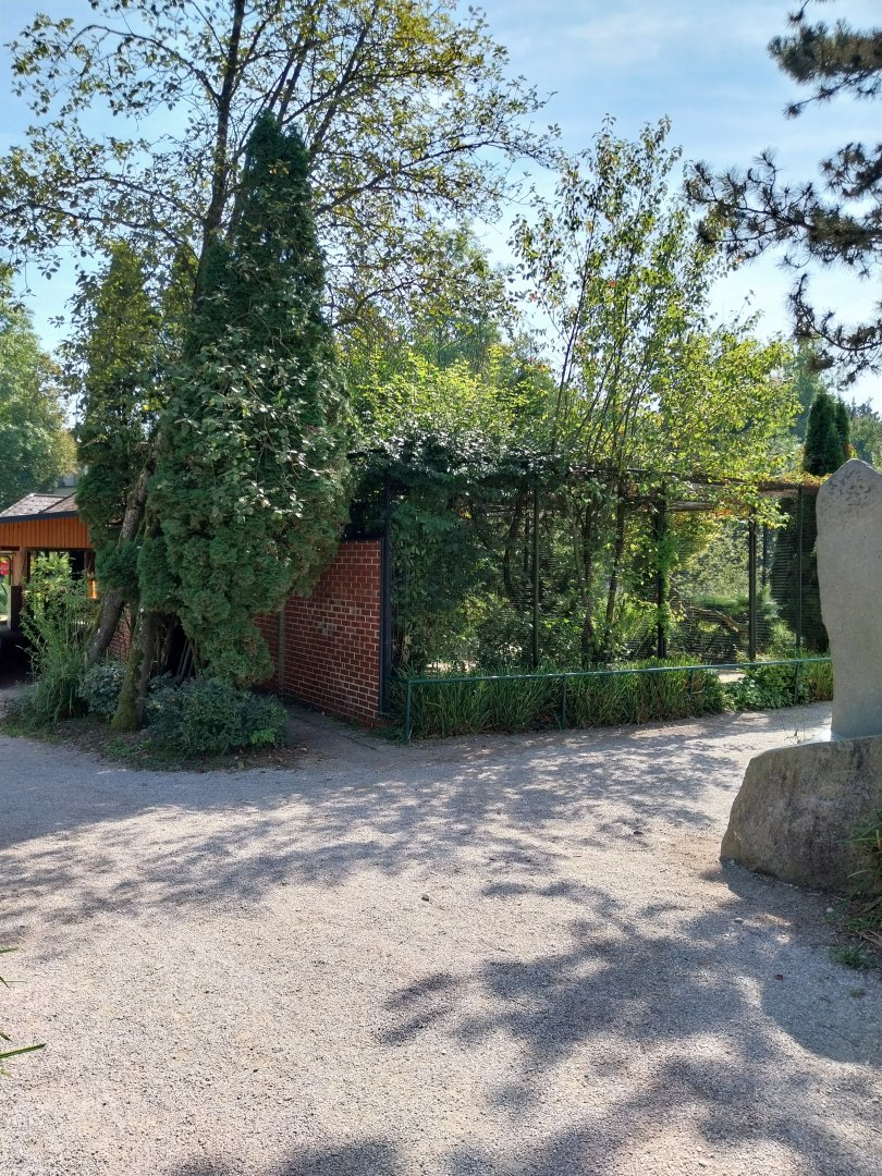 Wrinkled hornbill aviary