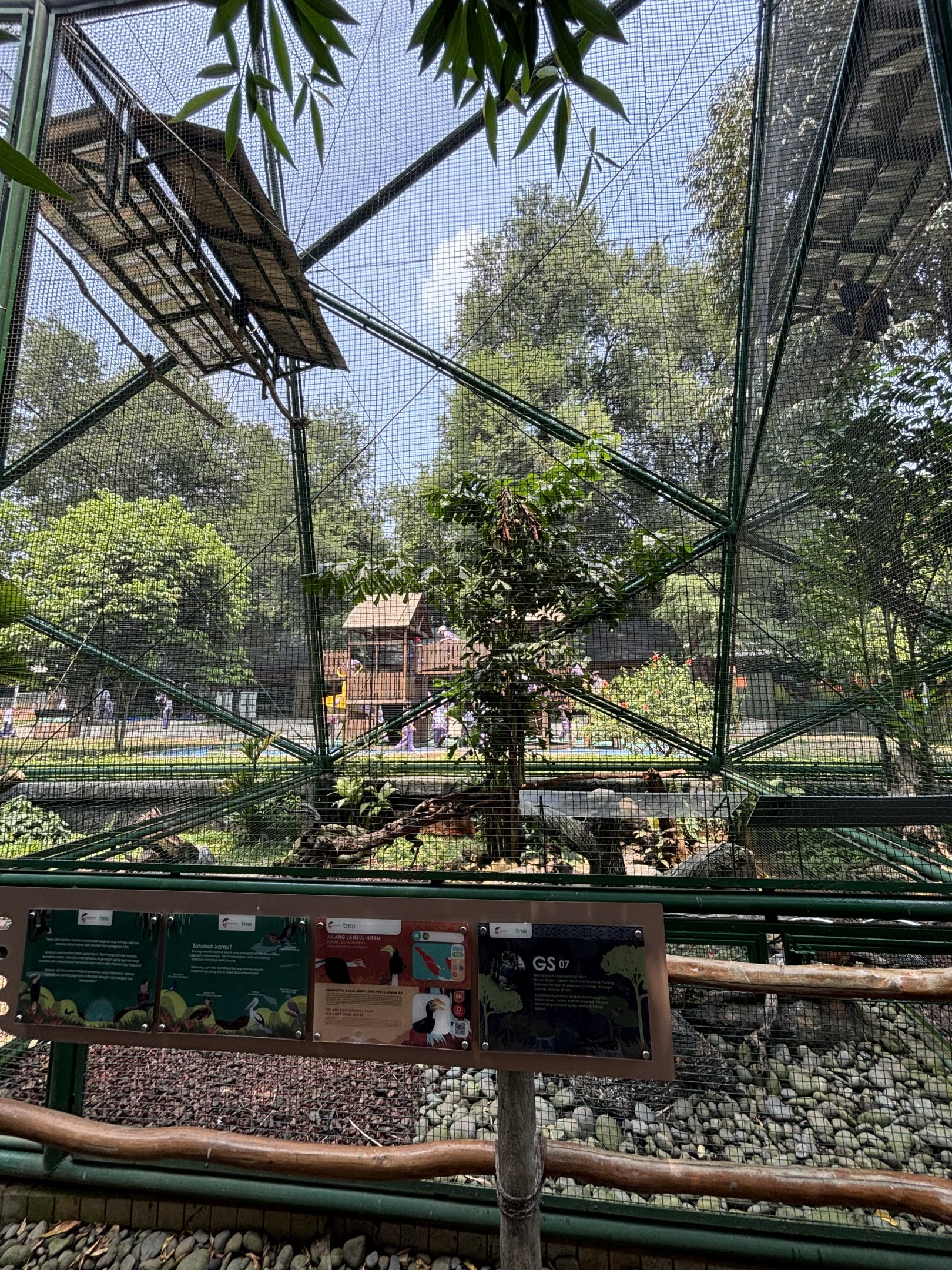 Wrinkled Hornbill Aviary