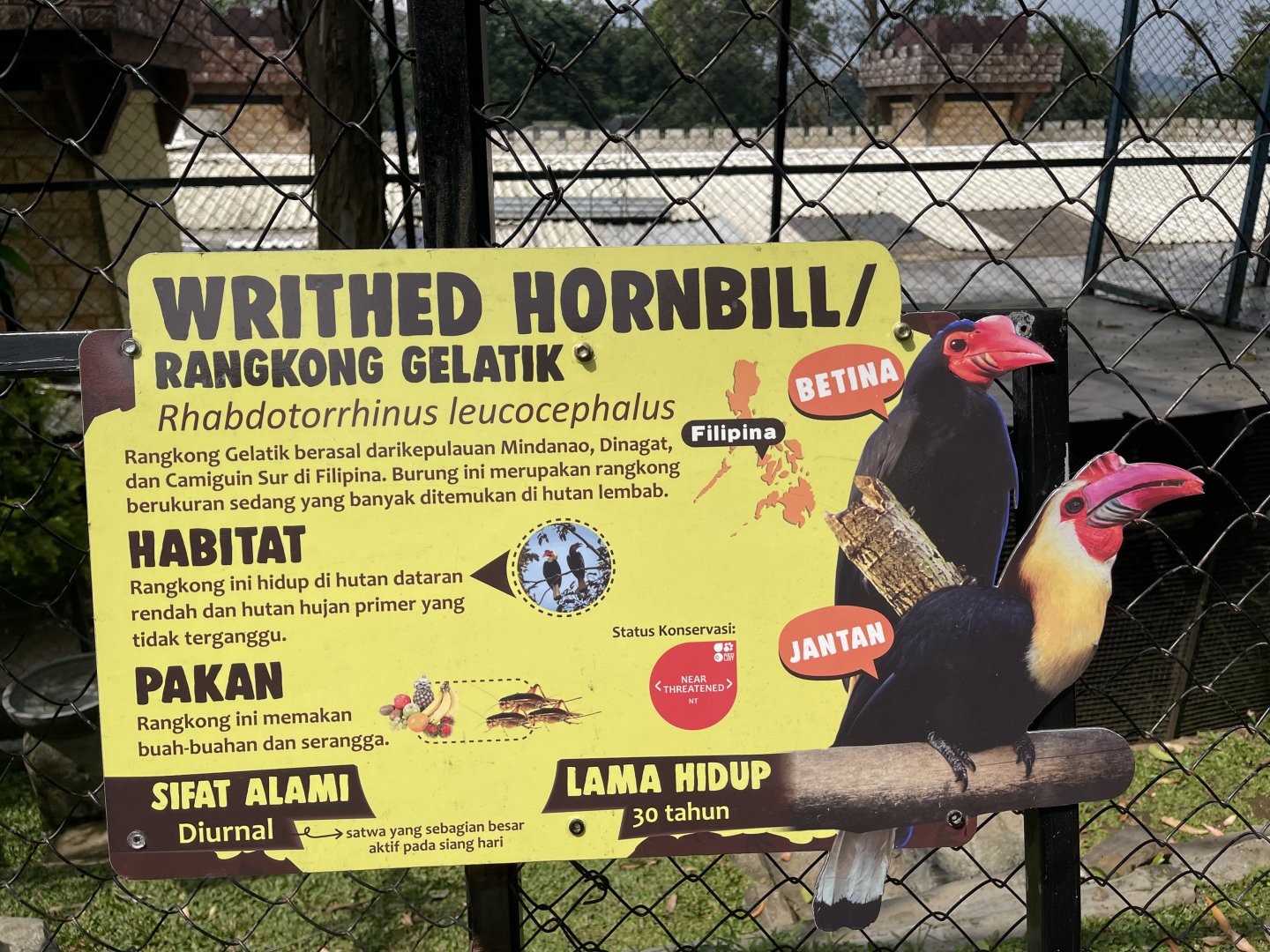 writhed hornbill signage