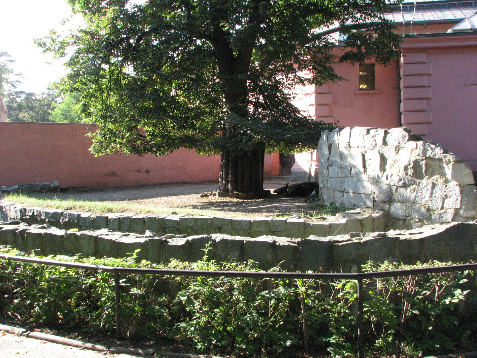 Wroclaw Zoo 2008 - Brazilian Tapir exhibit in the elephant house