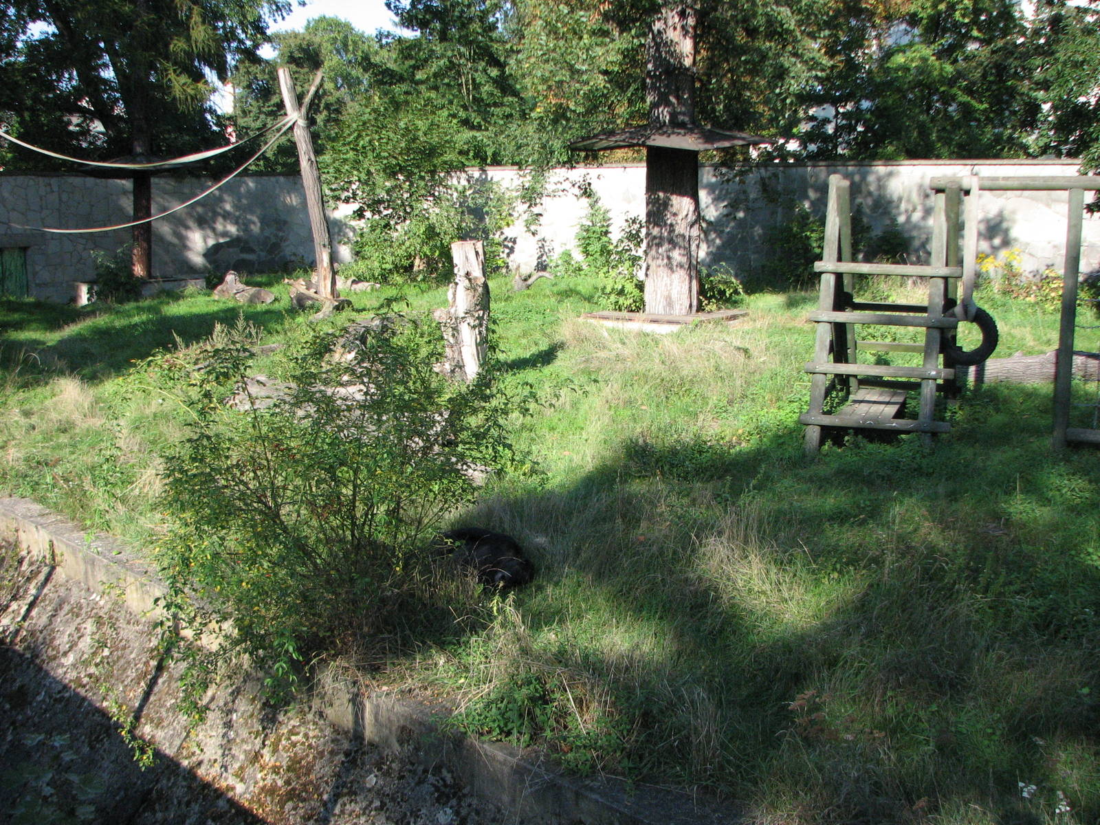 Wroclaw Zoo 2008 - Chimpanzee exhibit