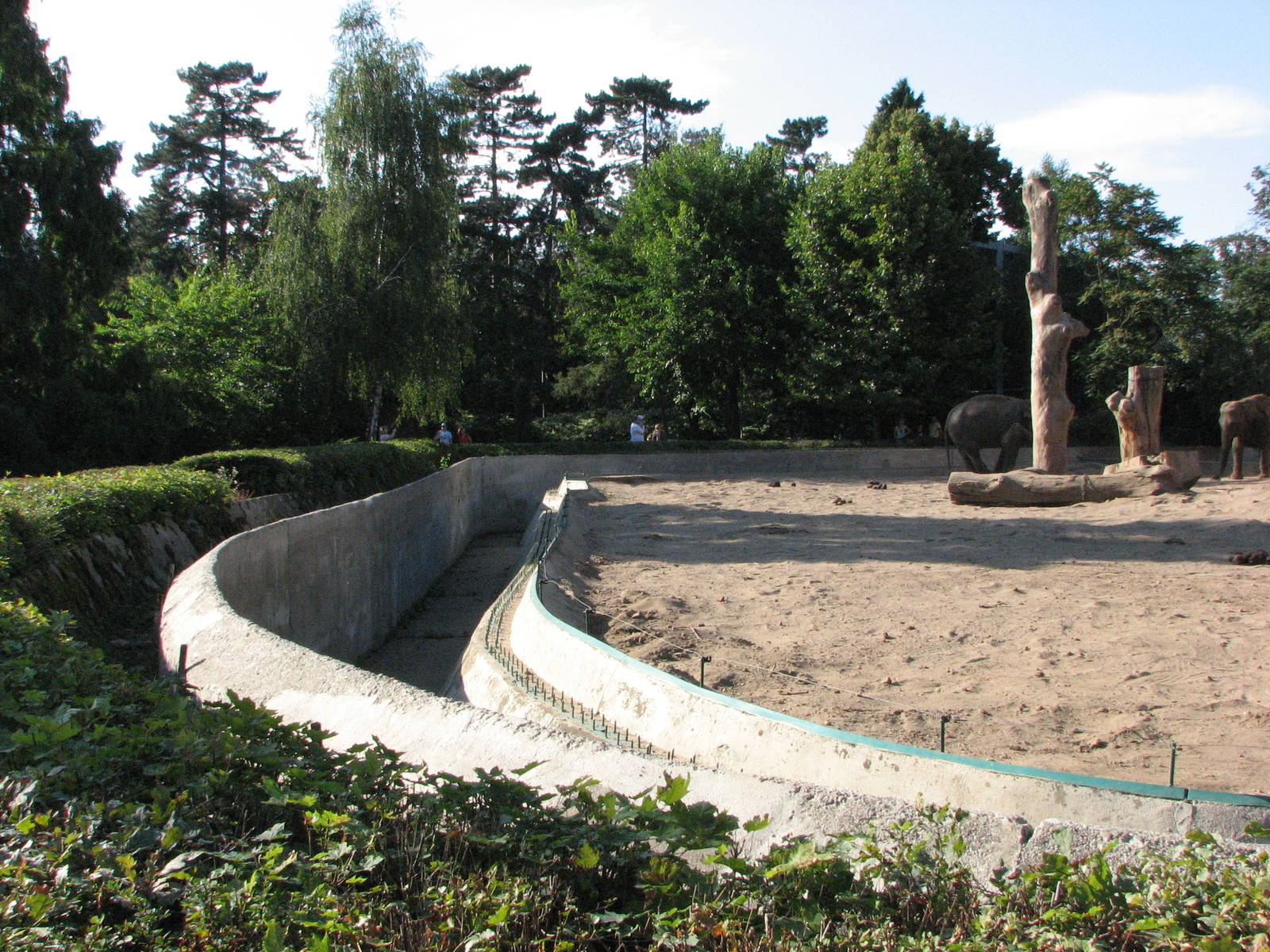 Wroclaw Zoo 2008 - Dry moat around the elephant exhibit