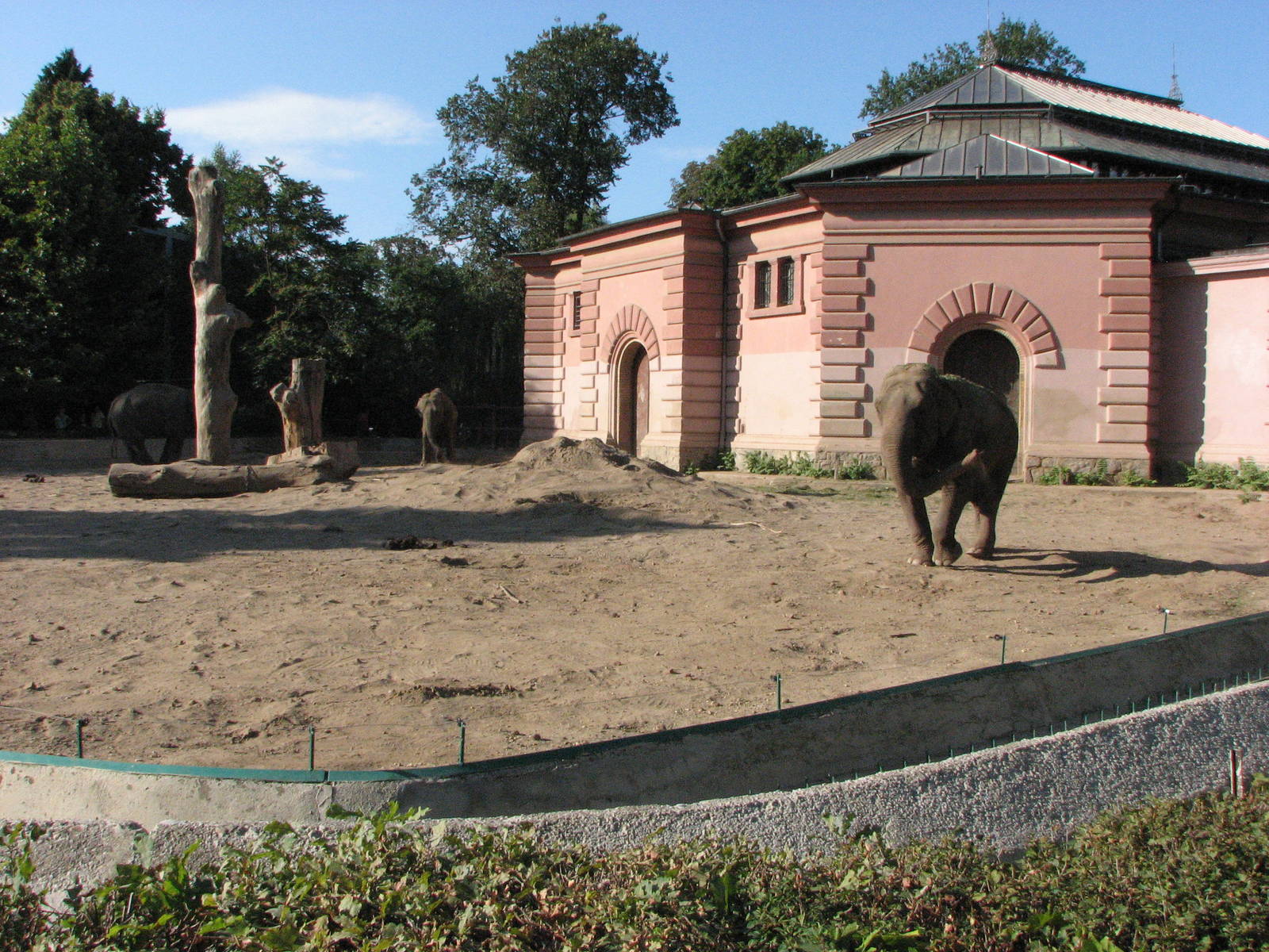Wroclaw Zoo 2008 - Elephant building and exhibit