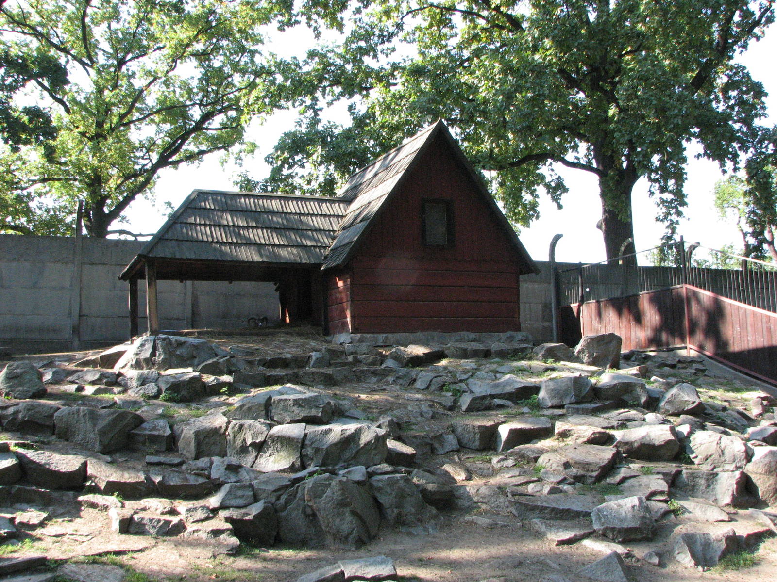 Wroclaw Zoo 2008 - Fine exhibit for Mouflon