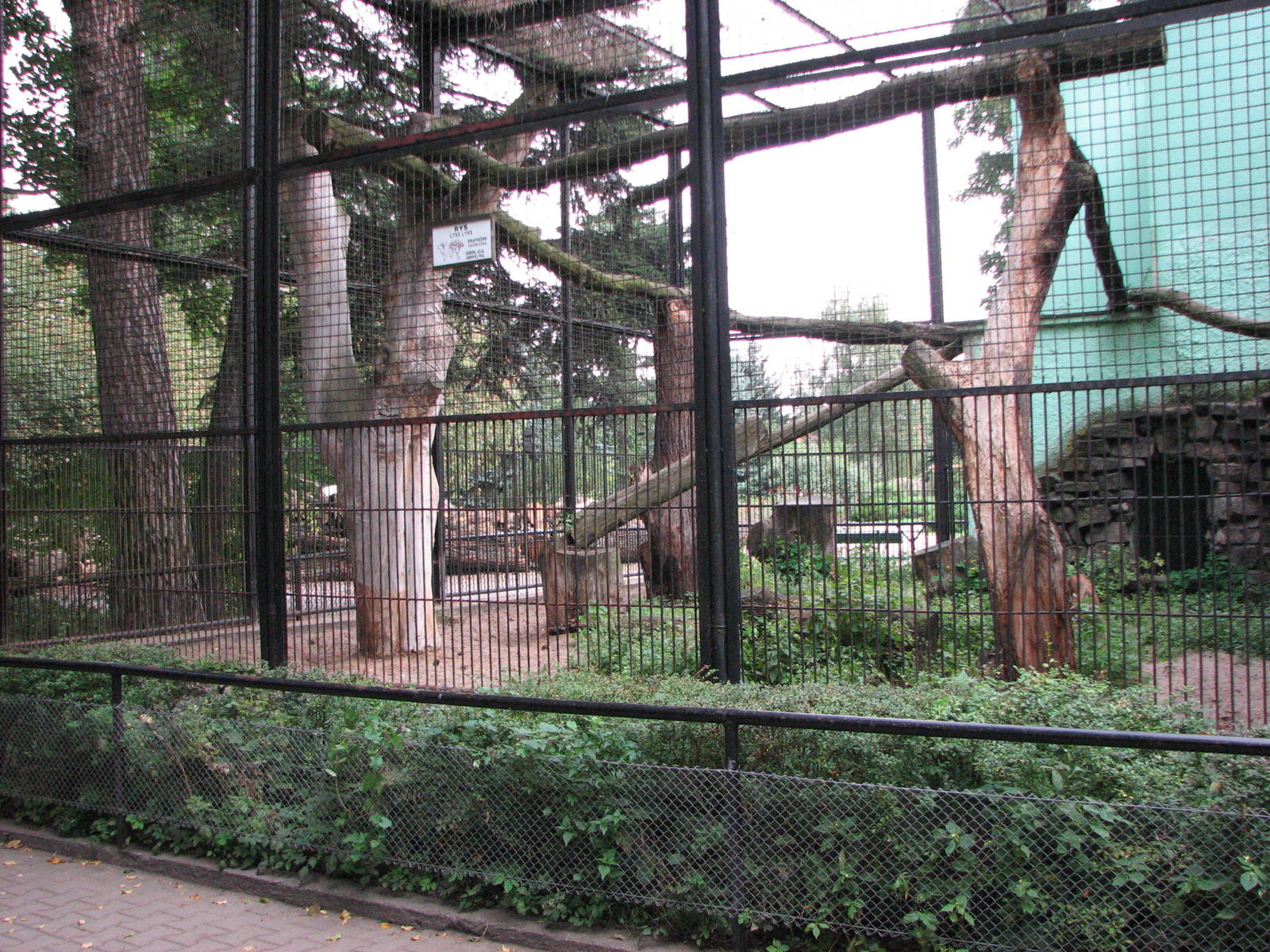 Wroclaw Zoo 2008 - First enclosure for Northern Lynx