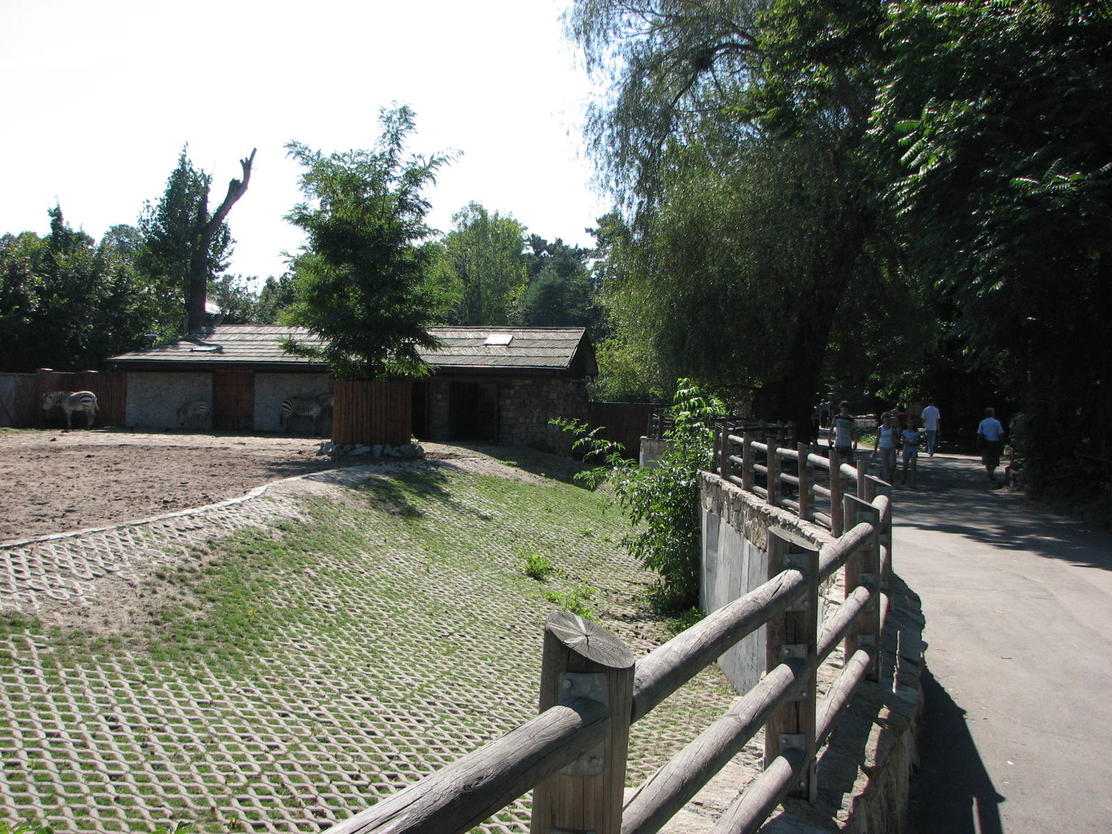Wroclaw Zoo 2008 - Front of the Zebra exhibit