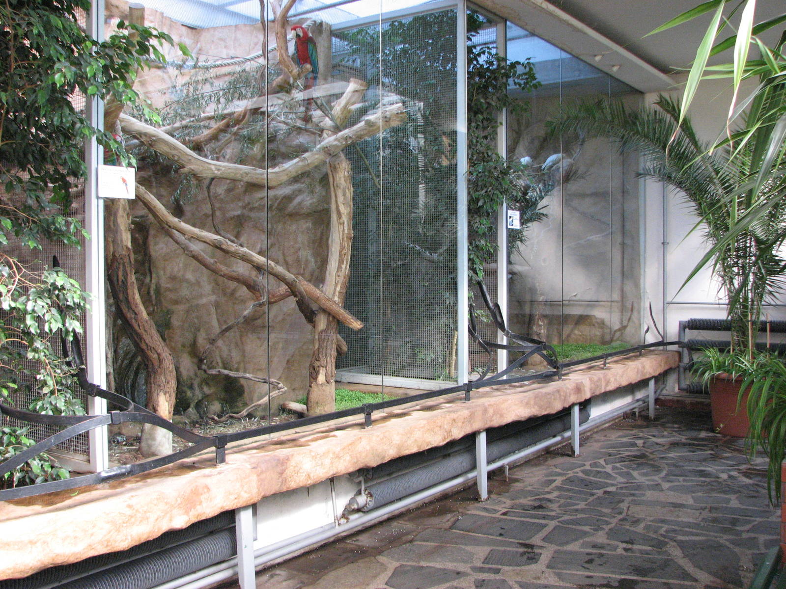 Wroclaw Zoo 2008 - Inside the Bird House