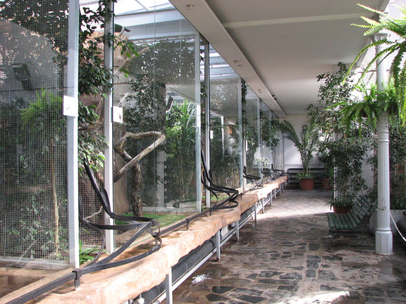 Wroclaw Zoo 2008 - Inside the Bird House