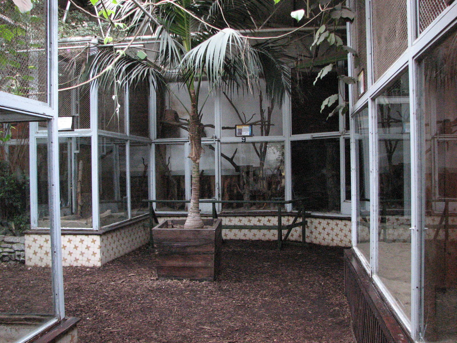 Wroclaw Zoo 2008 - Inside the Nocturnal House