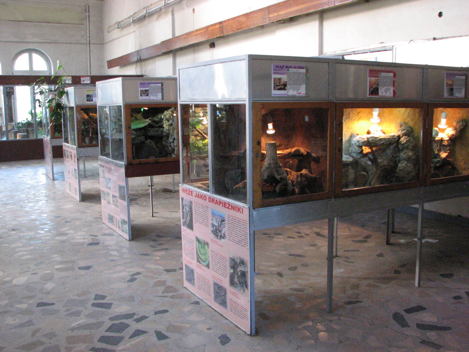 Wroclaw Zoo 2008 - Inside the Reptile House