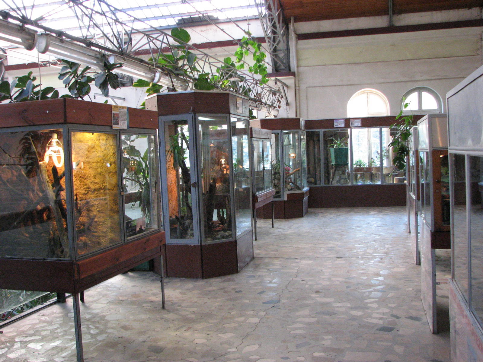 Wroclaw Zoo 2008 - Inside the Reptile House