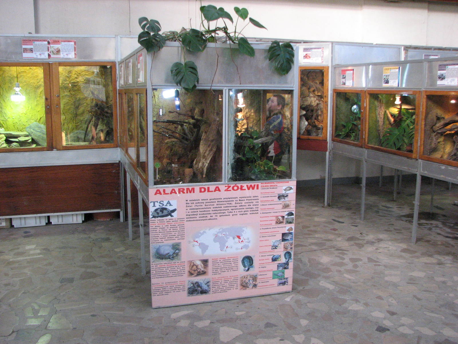 Wroclaw Zoo 2008 - Inside the Reptile House