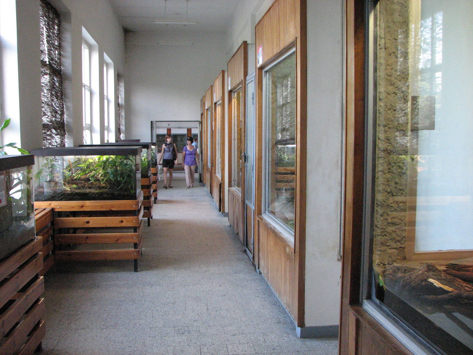 Wroclaw Zoo 2008 - Inside the Reptile House