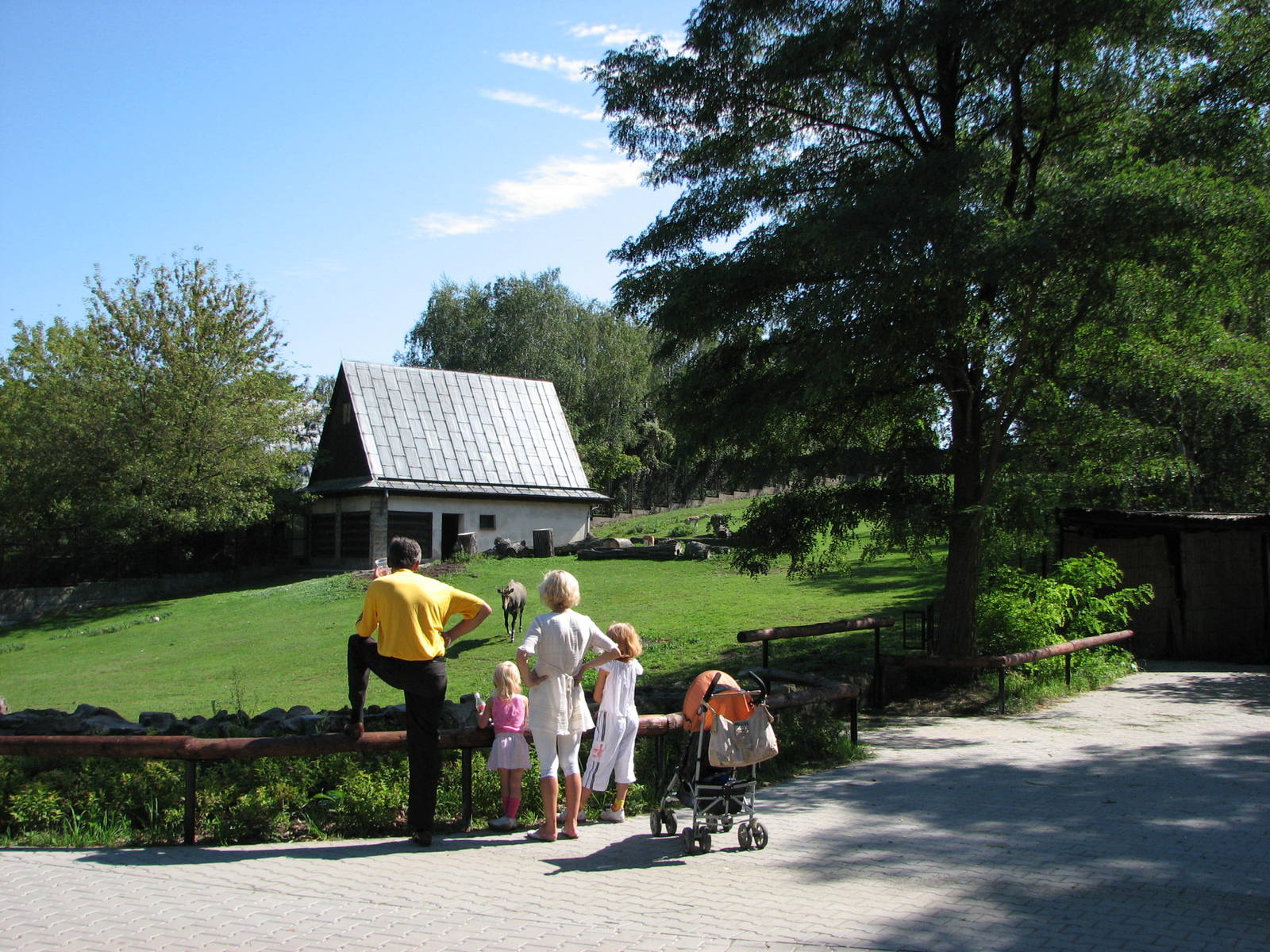 Wroclaw Zoo 2008 - Nilgai paddock