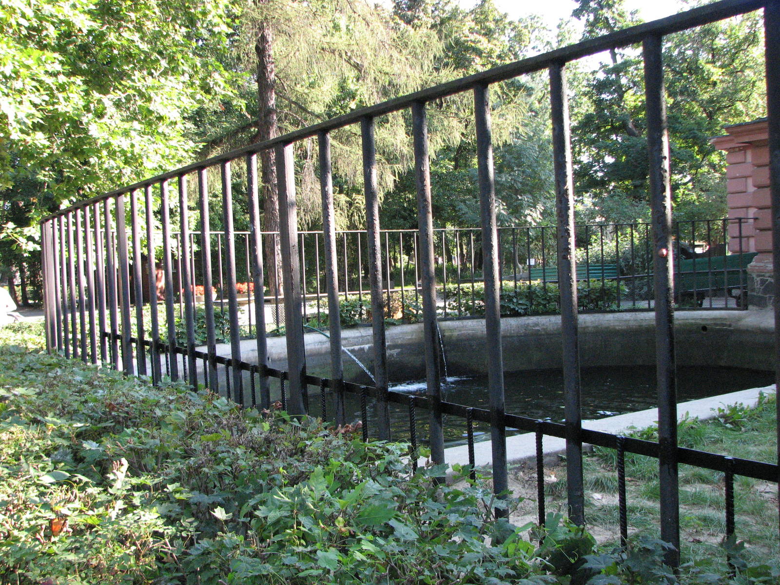 Wroclaw Zoo 2008 - Old hippo exhibit but then for Common Seal