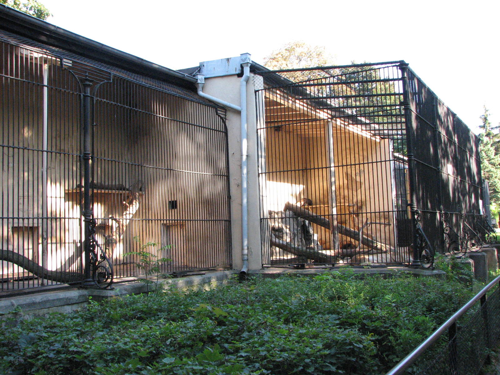Wroclaw Zoo 2008 - Outside cages of the Lion House