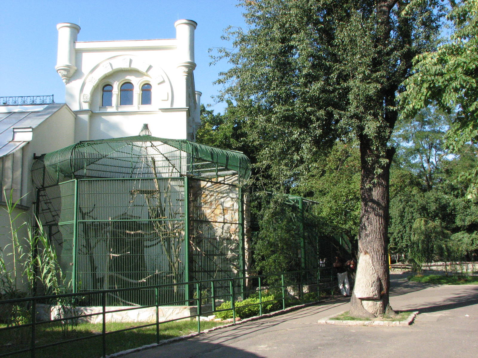 Wroclaw Zoo 2008 - Outside the Monkey House