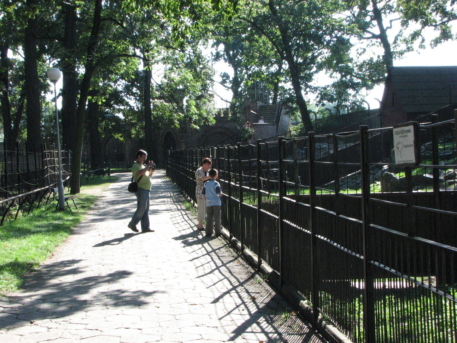 Wroclaw Zoo 2008 - Pathway alongside and fence of the goat exhibits